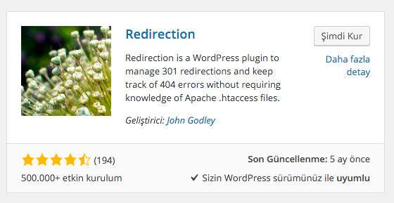 wordpress 301