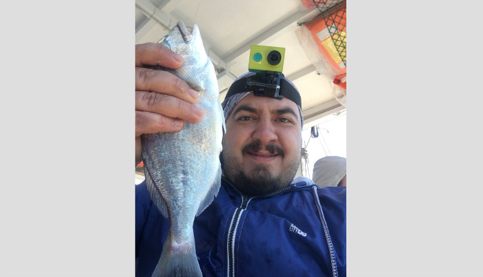 çipura balık avı